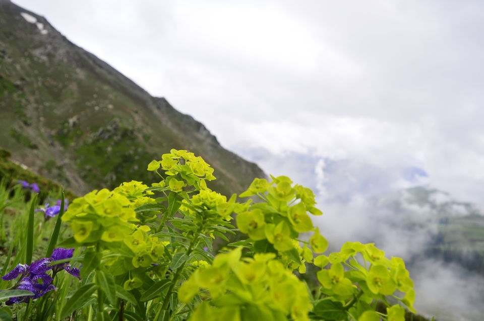 Photo of Kashmir great lakes trek - 2015 #BacktoTheMountains by Anindya Das