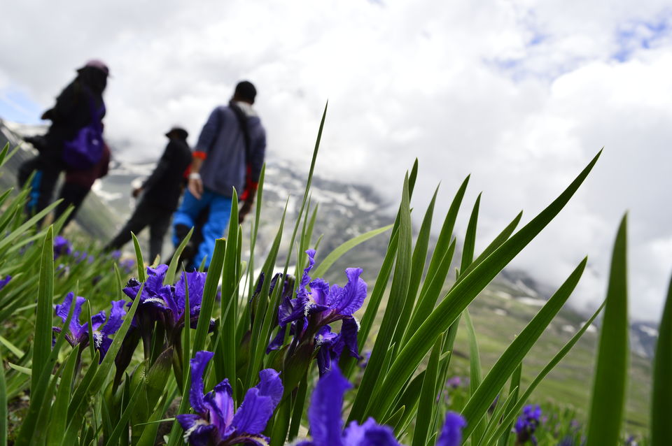 Photo of Kashmir great lakes trek - 2015 #BacktoTheMountains by Anindya Das