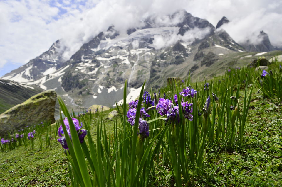 Photo of Kashmir great lakes trek - 2015 #BacktoTheMountains by Anindya Das