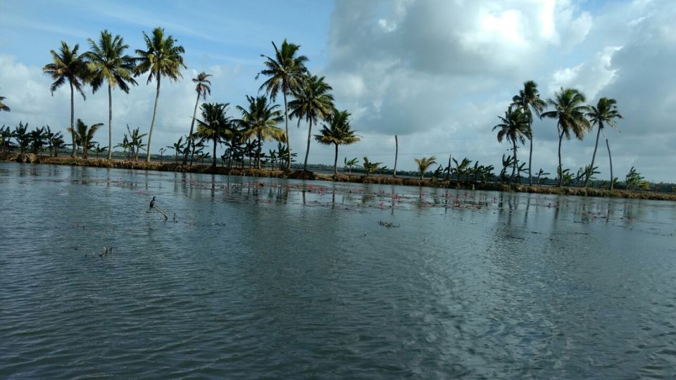 Photo of Erezha, Mullakkal, Alappuzha, Kerala 688001, India by Krishnan T P