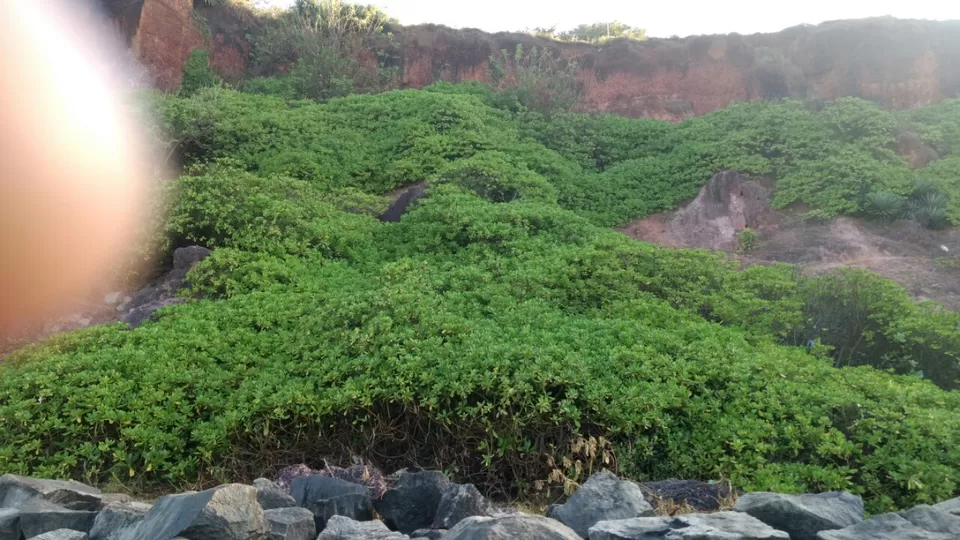 Photo of Varkala, Kerala, India by Krishnan T P
