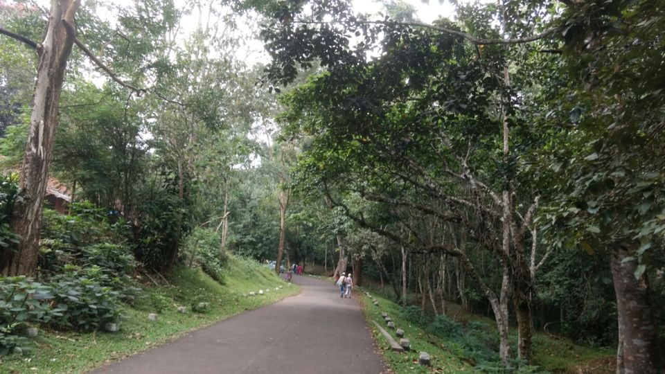 Photo of Thekkady and Munnar - Heaven in kerala by Krishnan T P