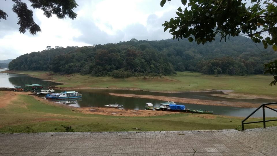Photo of Thekkady and Munnar - Heaven in kerala by Krishnan T P