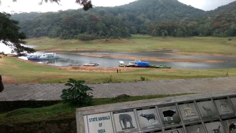 Photo of Thekkady and Munnar - Heaven in kerala by Krishnan T P