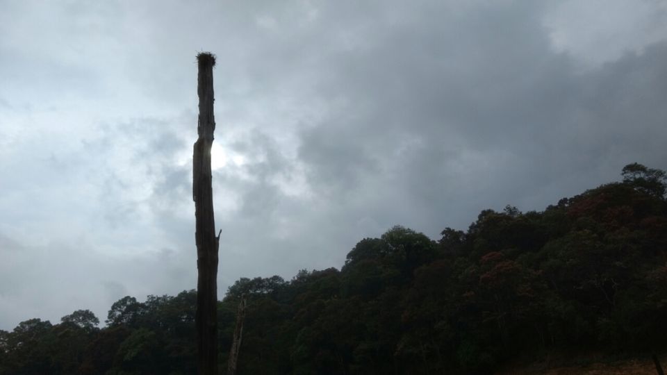 Photo of Thekkady and Munnar - Heaven in kerala by Krishnan T P