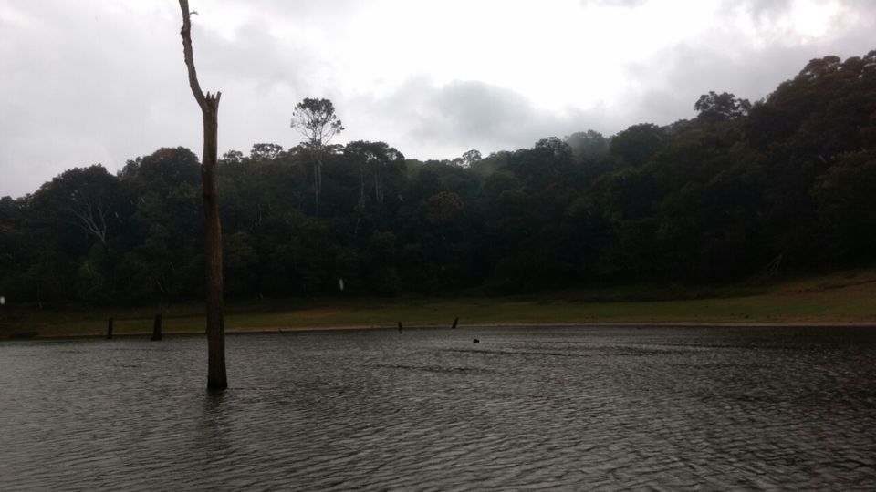 Photo of Thekkady and Munnar - Heaven in kerala by Krishnan T P