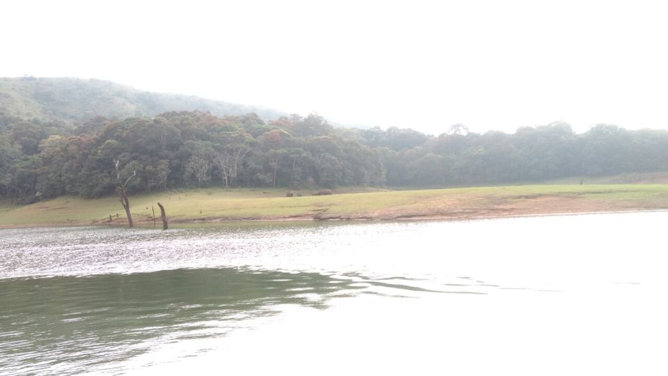 Photo of Thekkady and Munnar - Heaven in kerala by Krishnan T P