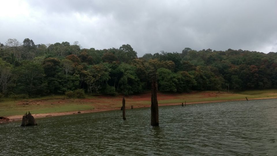 Photo of Thekkady and Munnar - Heaven in kerala by Krishnan T P