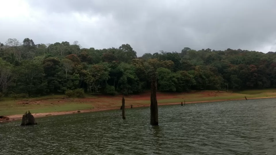 Photo of Thekkady and Munnar - Heaven in kerala by Krishnan T P