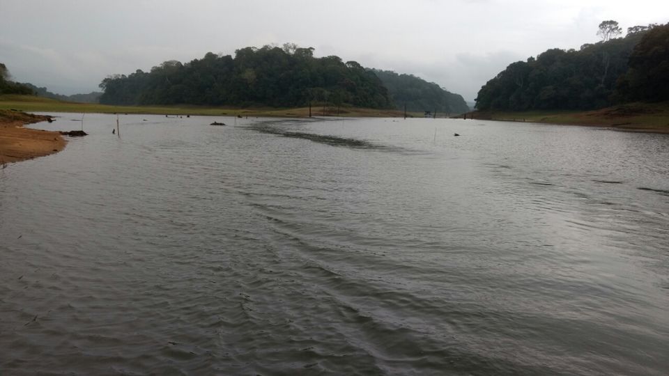 Photo of Thekkady and Munnar - Heaven in kerala by Krishnan T P