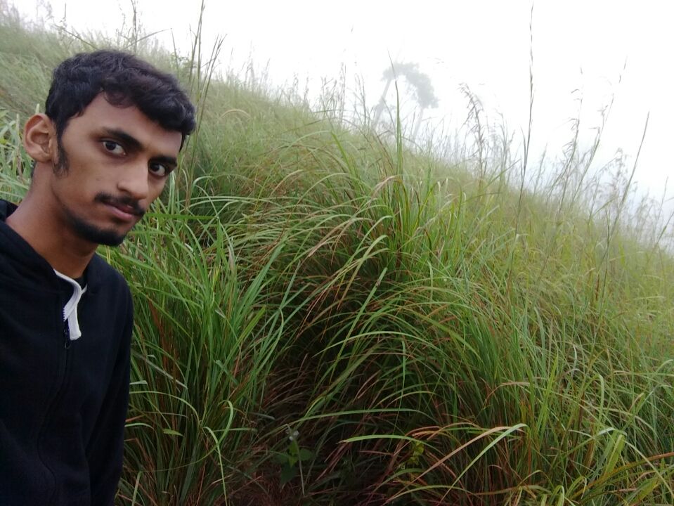 Photo of Thekkady and Munnar - Heaven in kerala by Krishnan T P