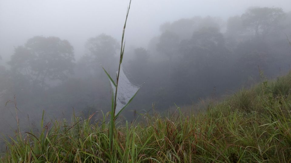 Photo of Thekkady and Munnar - Heaven in kerala by Krishnan T P