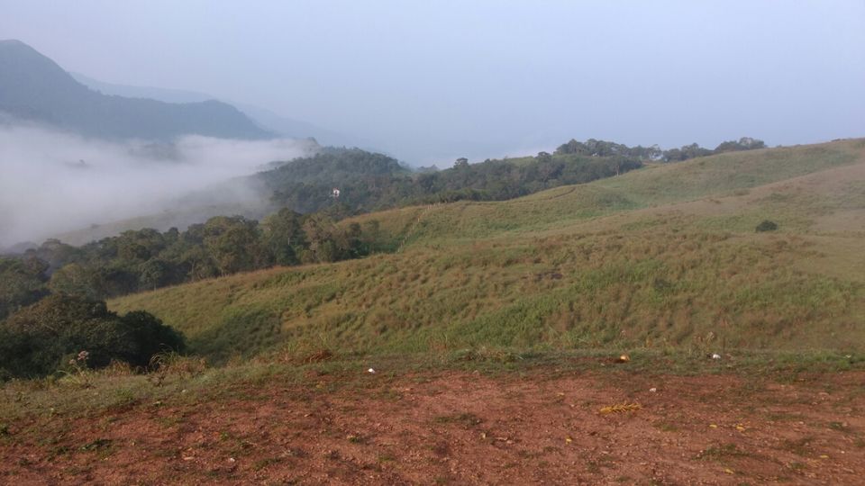 Photo of Thekkady and Munnar - Heaven in kerala by Krishnan T P