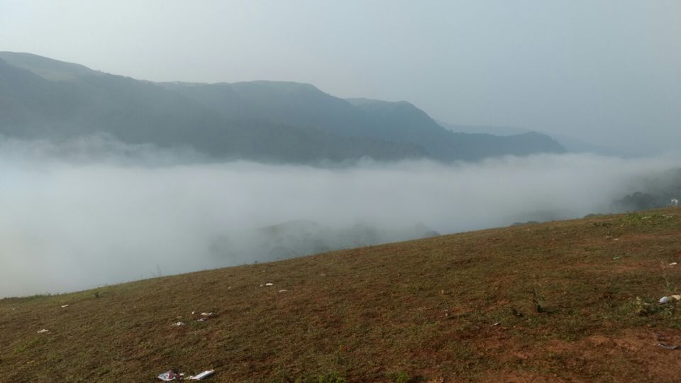Photo of Thekkady and Munnar - Heaven in kerala by Krishnan T P