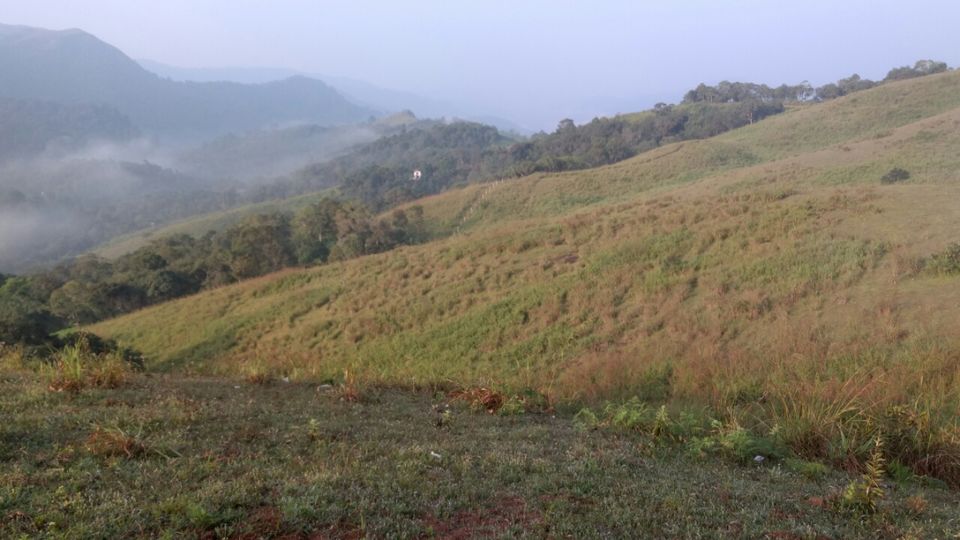 Photo of Thekkady and Munnar - Heaven in kerala by Krishnan T P
