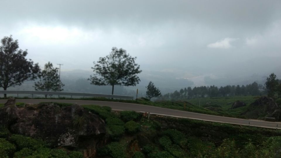 Photo of Munnar, Kerala, India by Krishnan T P
