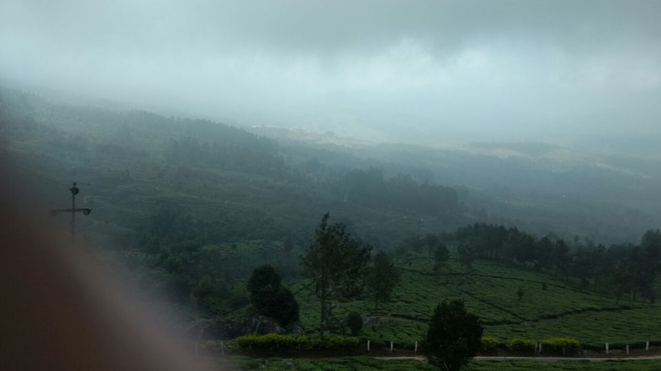 Photo of Munnar, Kerala, India by Krishnan T P
