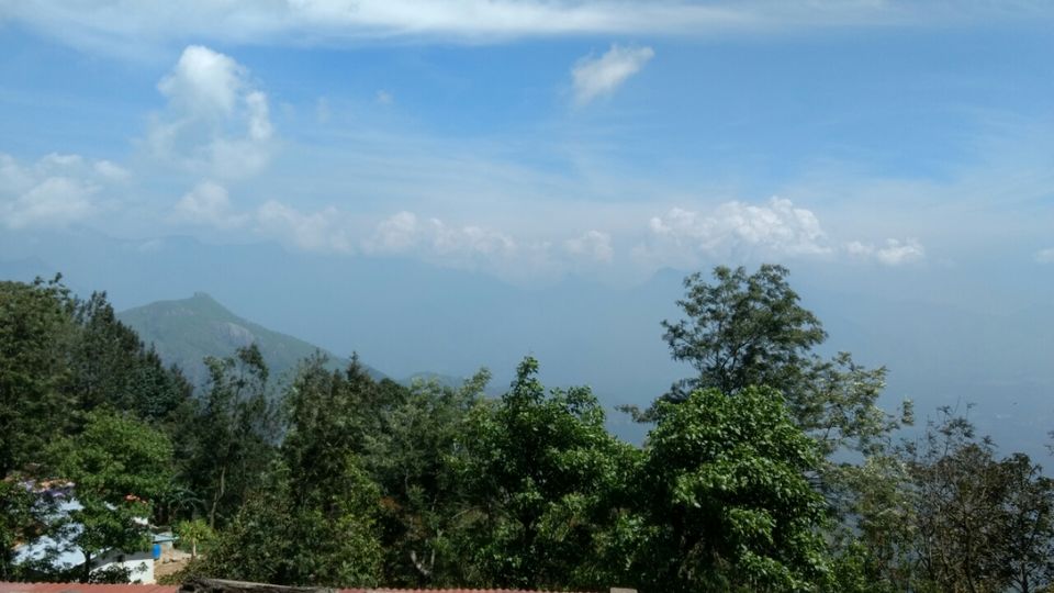 Photo of Thekkady and Munnar - Heaven in kerala by Krishnan T P