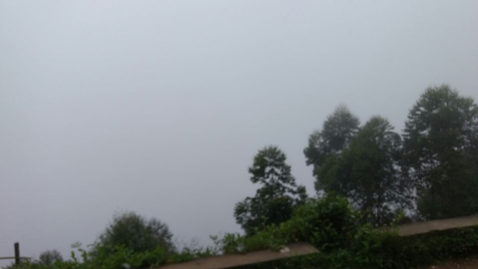 Photo of Thekkady and Munnar - Heaven in kerala by Krishnan T P