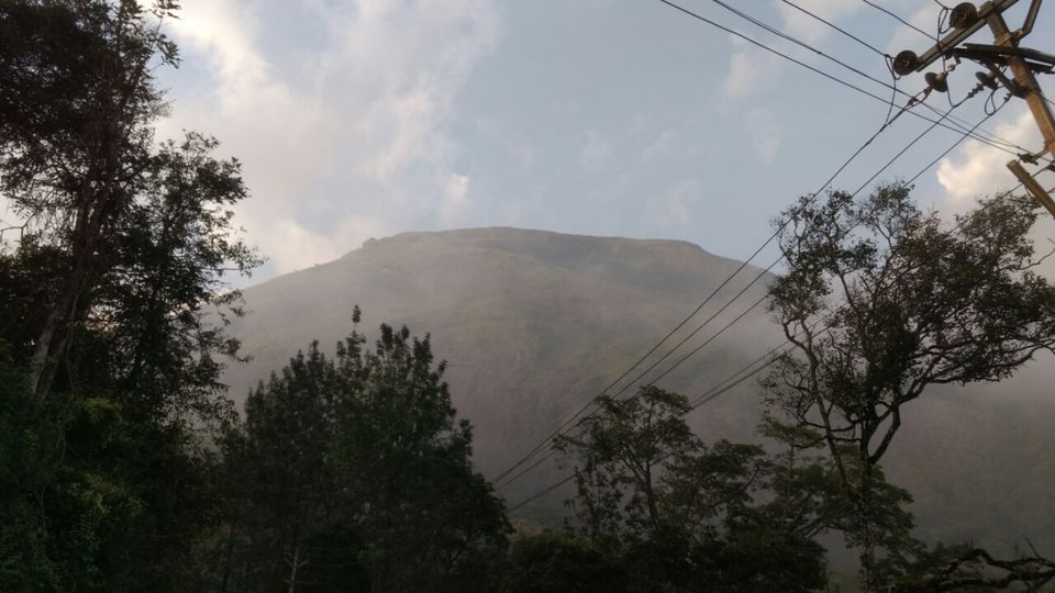 Photo of Thekkady and Munnar - Heaven in kerala by Krishnan T P