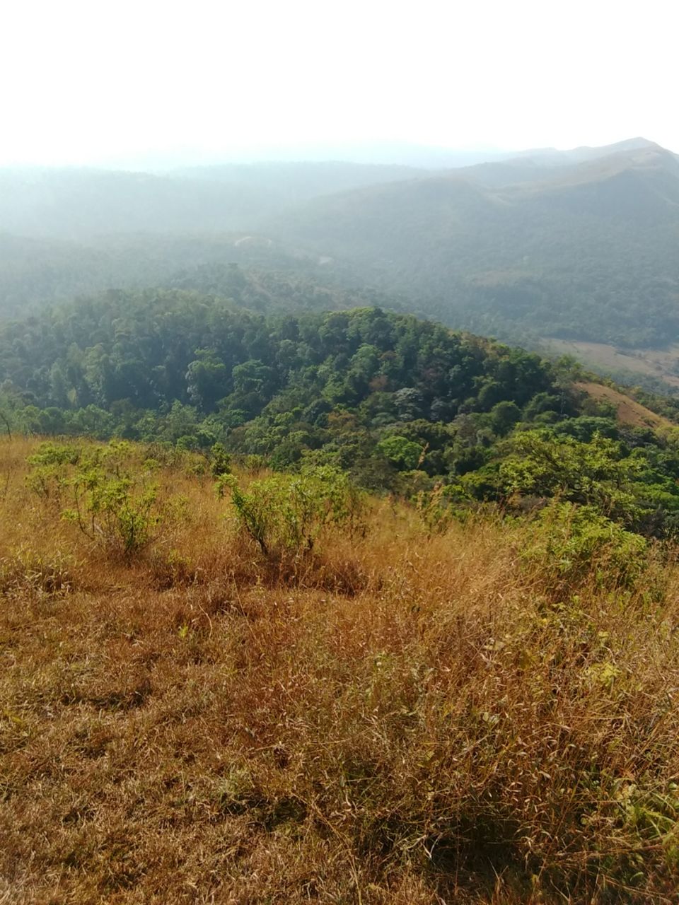 Photo of Sakleshpur, Karnataka, India by Krishnan T P