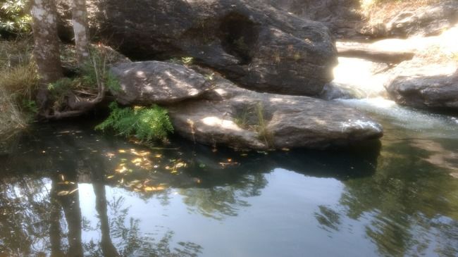 Photo of Sakleshpur - A hidden beauty in Karnataka -- Part I by Krishnan T P