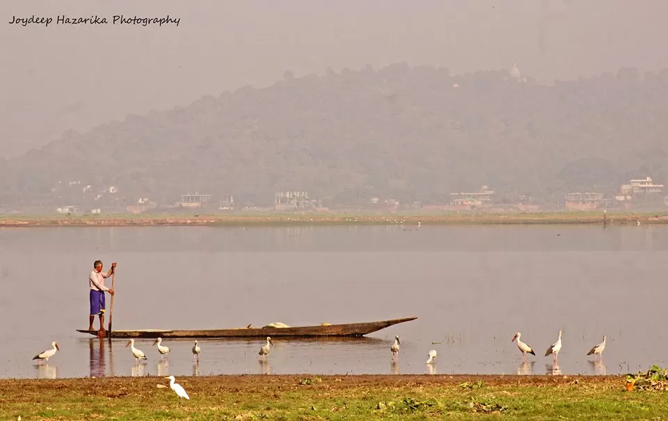 Photo of Deepor Beel Birds Sanctuary, Guwahati, Assam, India by Joydeep Hazarika