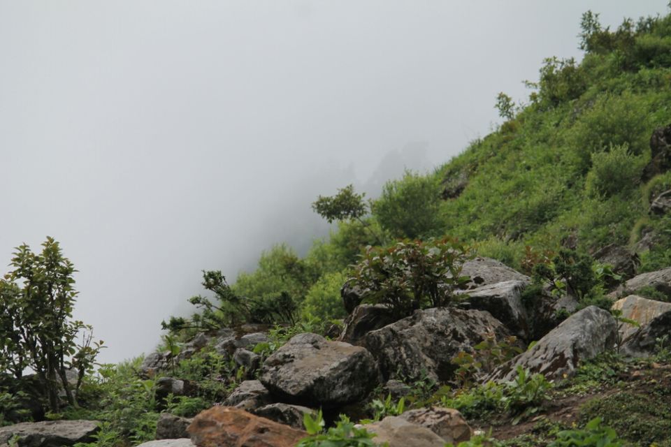 Photo of Miracle or Happenstance: an unforgettable trip to char dham (full trip) by Kinjal Thacker