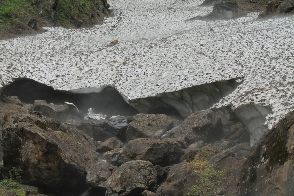 Photo of Miracle or Happenstance: an unforgettable trip to char dham (full trip) by Kinjal Thacker