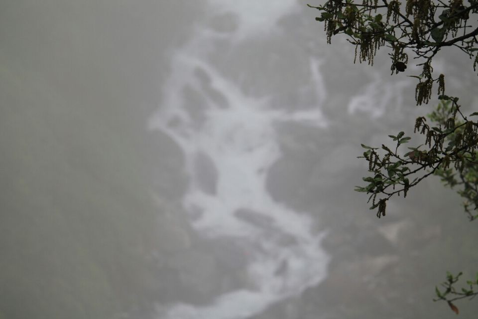 Photo of Miracle or Happenstance: an unforgettable trip to char dham (full trip) by Kinjal Thacker