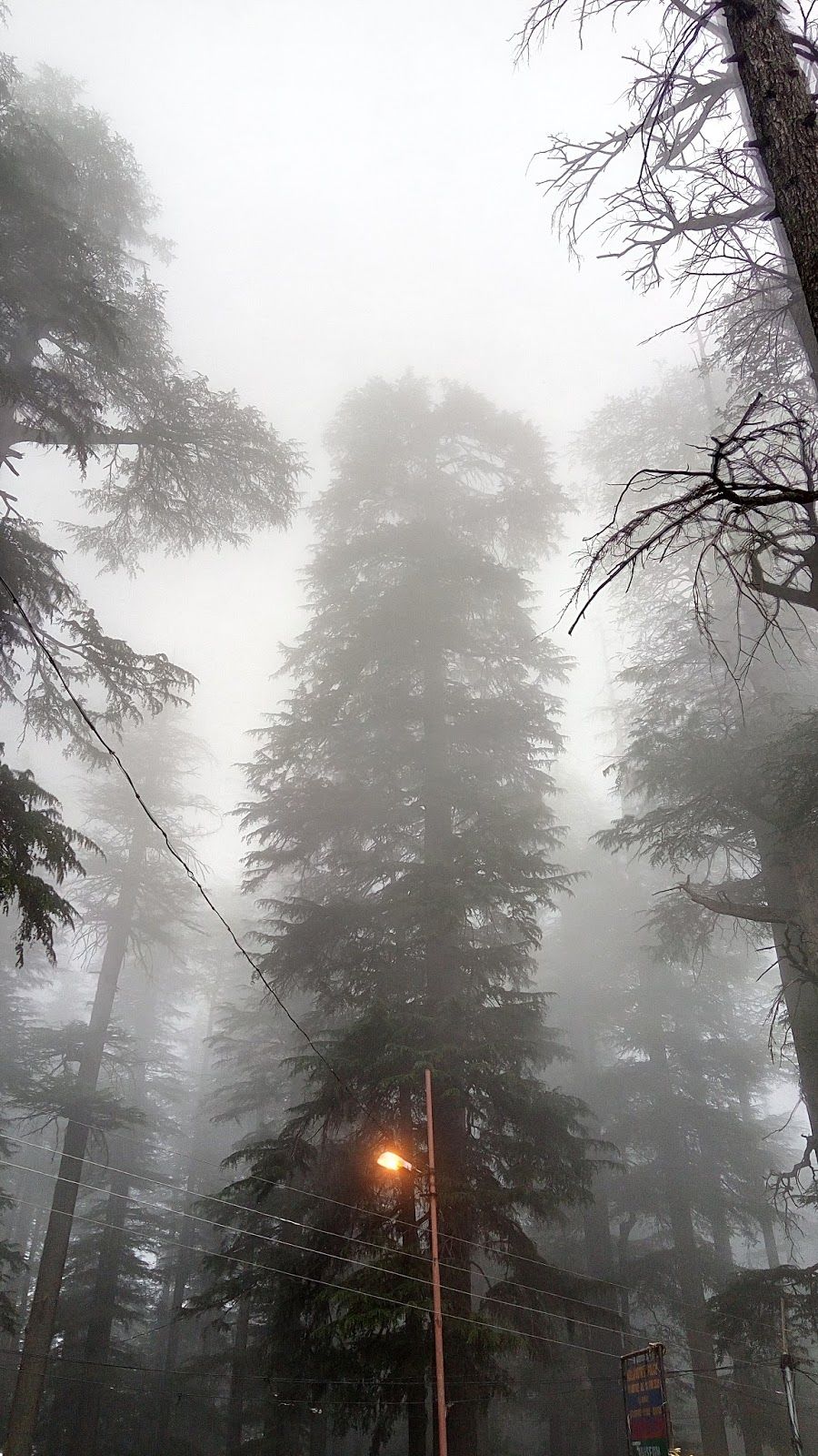 Photo of Journey me TWIST:Manali via Delhi (part 2) 4/4 by Kinjal Thacker