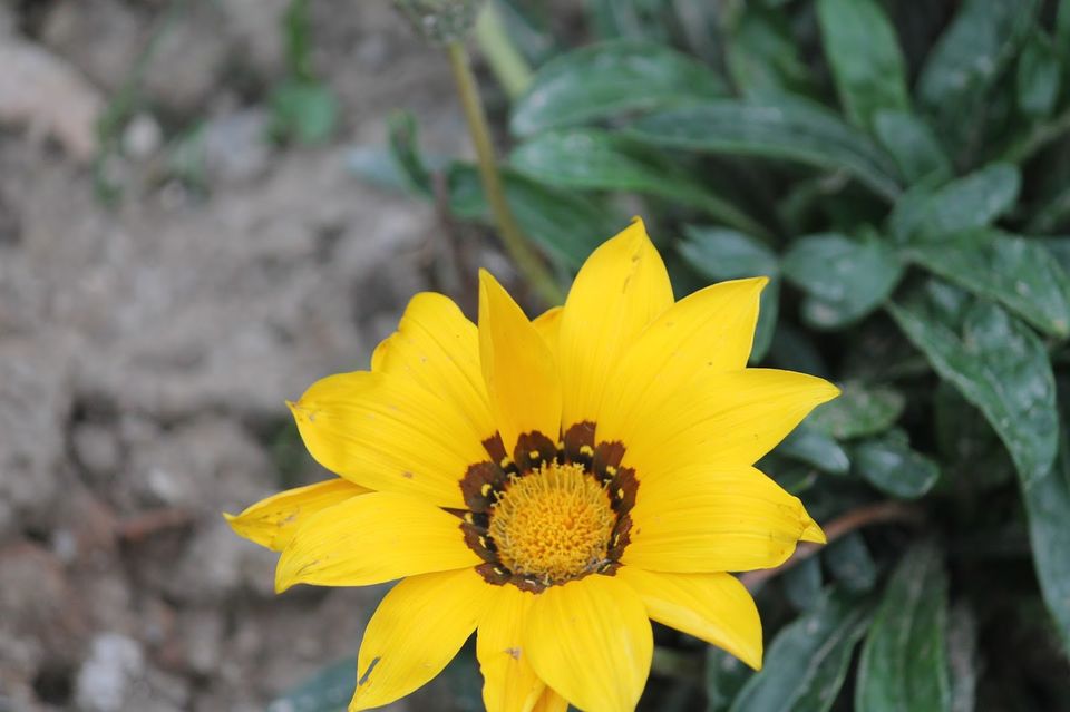 Photo of Journey me TWIST:Manali via Delhi ( part 3) 2/3 by Kinjal Thacker