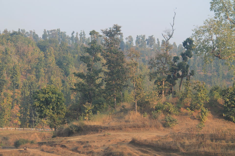 Photo of Saputara, Gujarat, India by Kinjal Thacker