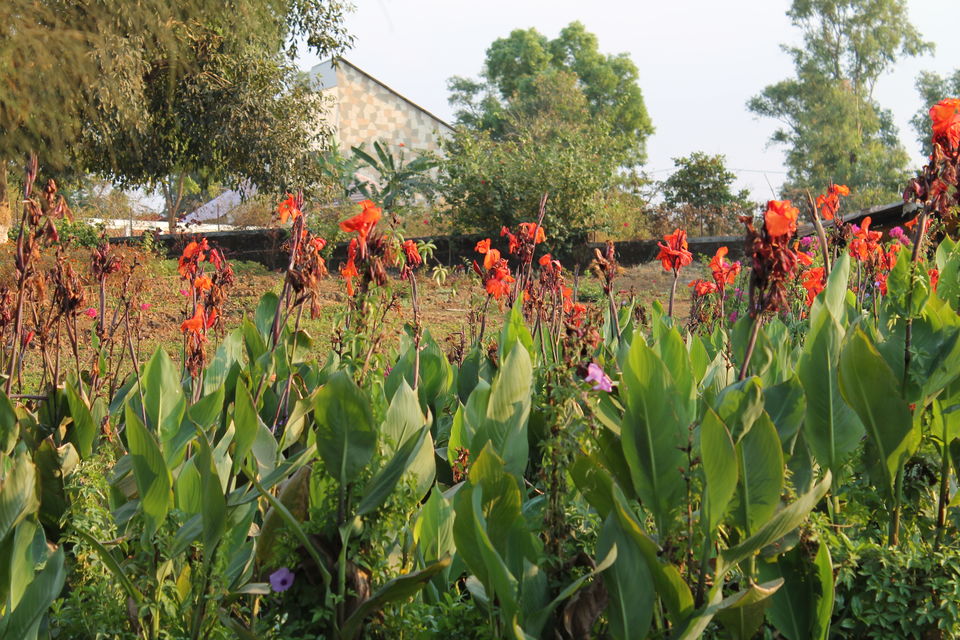 Photo of #TripotoTakeMeToSandakphu Saputara: Abode of Serpents by Kinjal Thacker