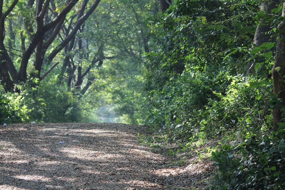 Photo of Saputara, Gujarat, India by Kinjal Thacker