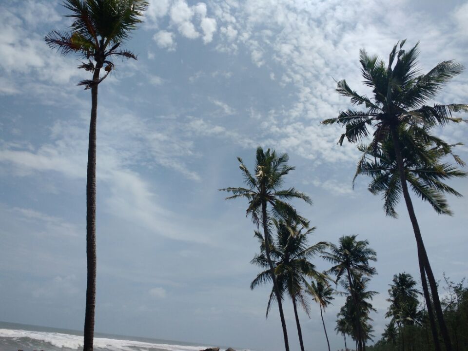 Photo of Varkala, Varkala, Kerala, India by Arpita Bose Sinha