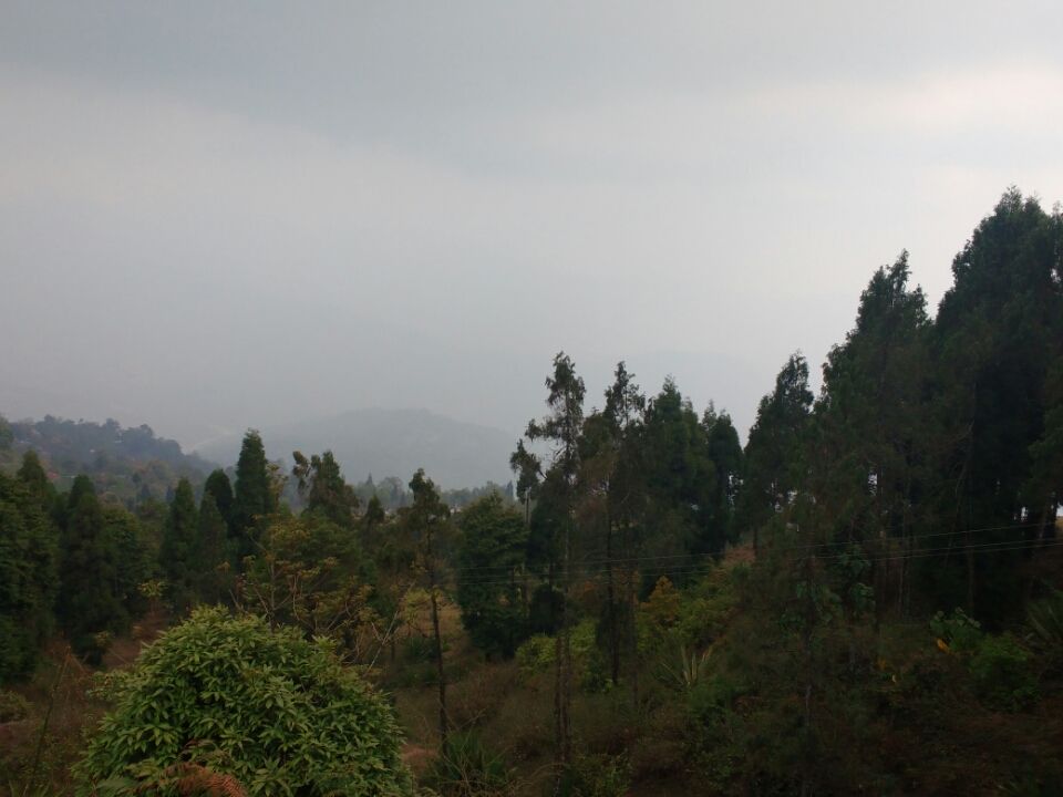 Photo of Kalimpong : the sleepy little hamlet in hills by Arpita Bose Sinha