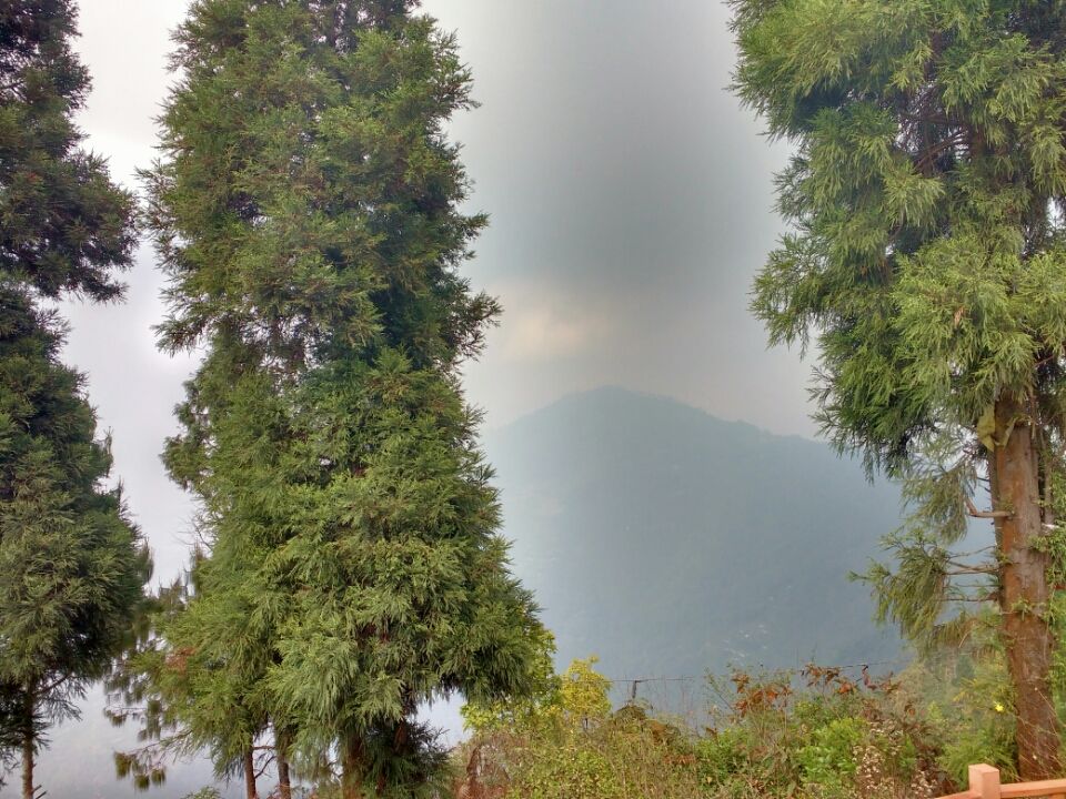 Photo of Kalimpong : the sleepy little hamlet in hills by Arpita Bose Sinha