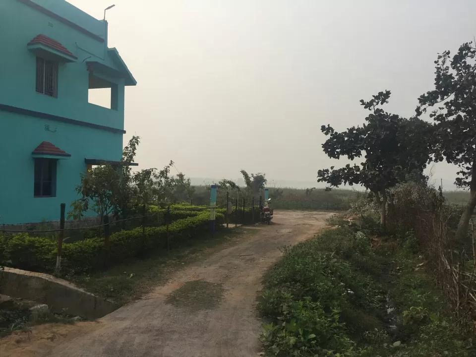 Photo of Baranti: the intoxication of nature's enchanting solitude by Arpita Bose Sinha