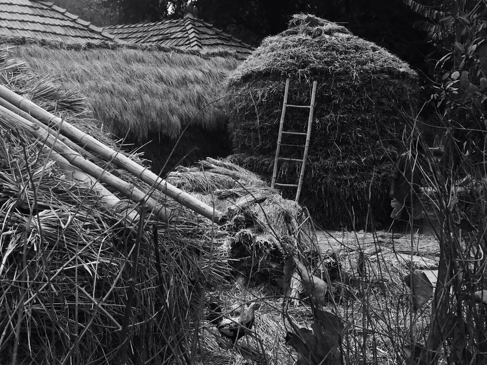 Photo of Baranti: the intoxication of nature's enchanting solitude by Arpita Bose Sinha
