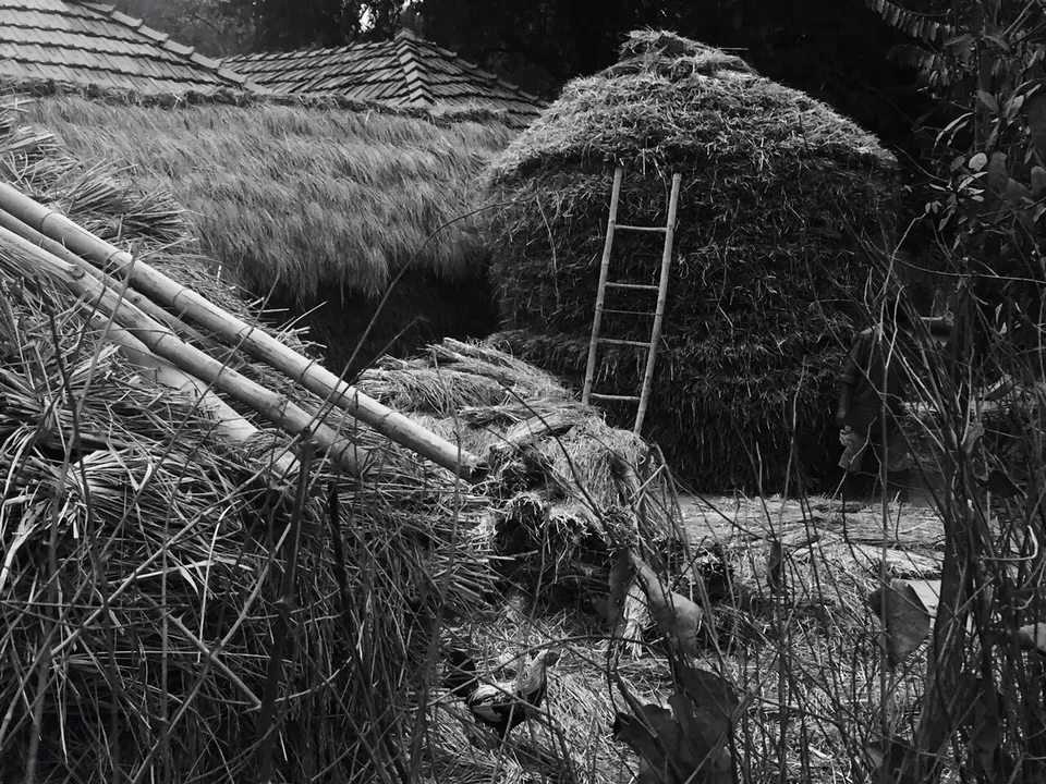 Photo of Baranti: the intoxication of nature's enchanting solitude by Arpita Bose Sinha