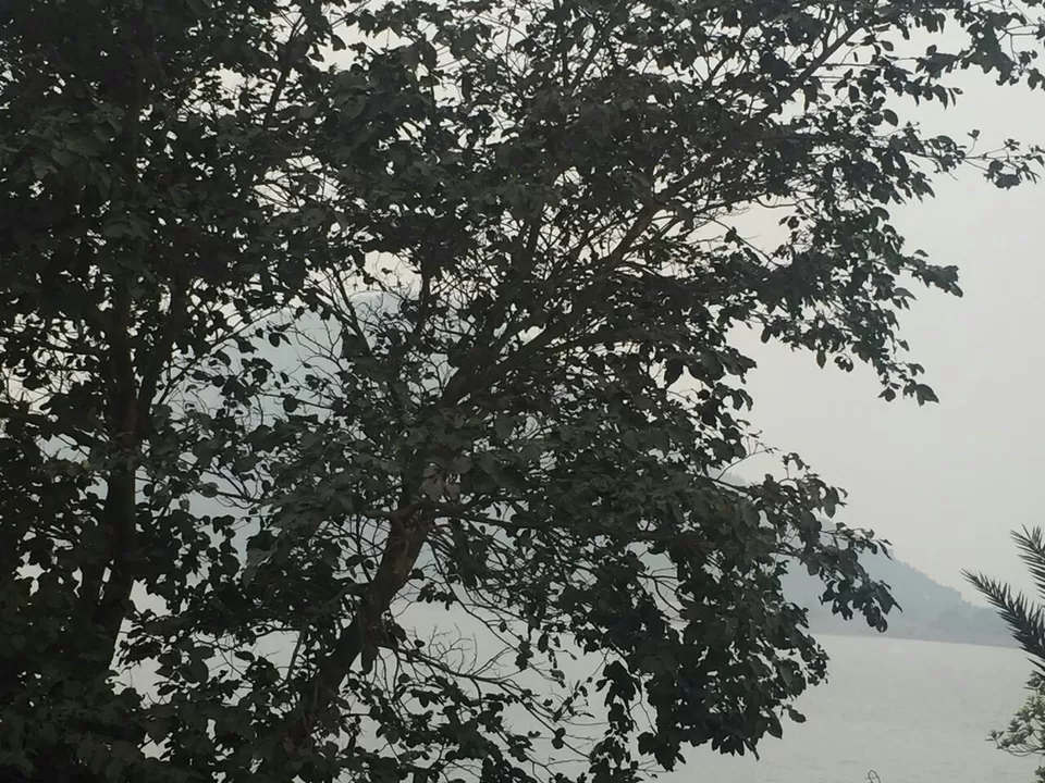 Photo of Baranti: the intoxication of nature's enchanting solitude by Arpita Bose Sinha