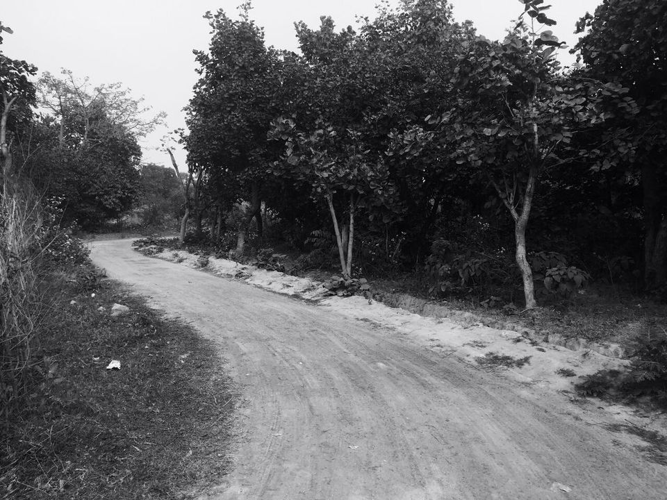 Photo of Baranti: the intoxication of nature's enchanting solitude by Arpita Bose Sinha