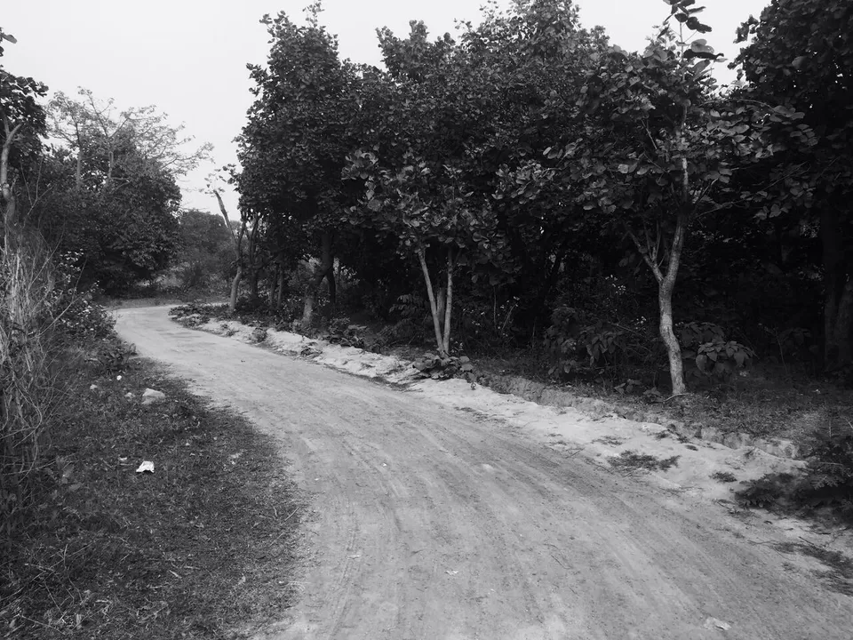 Photo of Baranti: the intoxication of nature's enchanting solitude by Arpita Bose Sinha