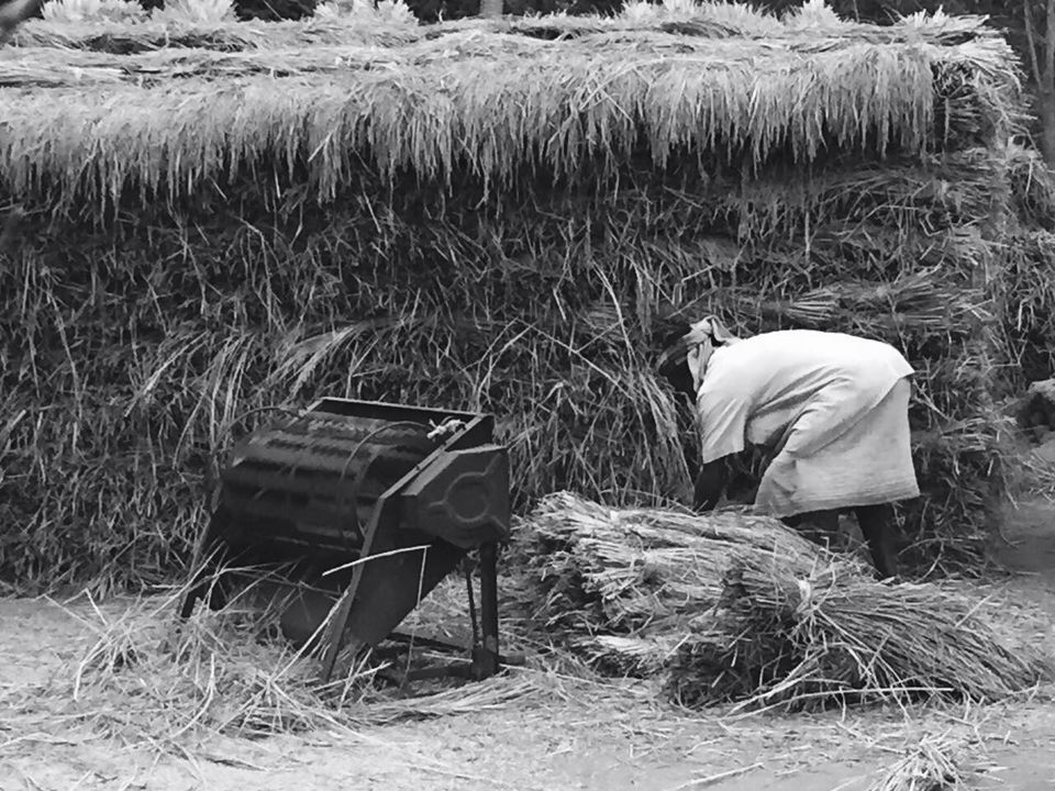 Photo of Baranti: the intoxication of nature's enchanting solitude by Arpita Bose Sinha