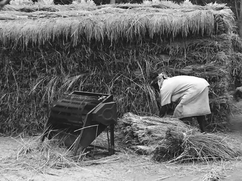 Photo of Baranti: the intoxication of nature's enchanting solitude by Arpita Bose Sinha