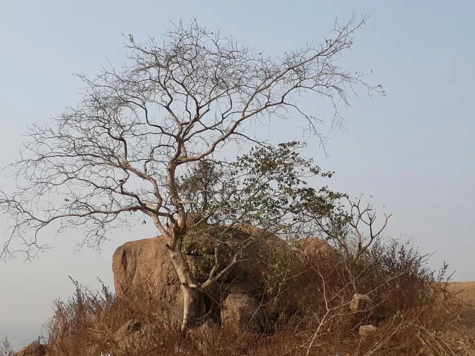 Photo of Purulia by Arpita Bose Sinha