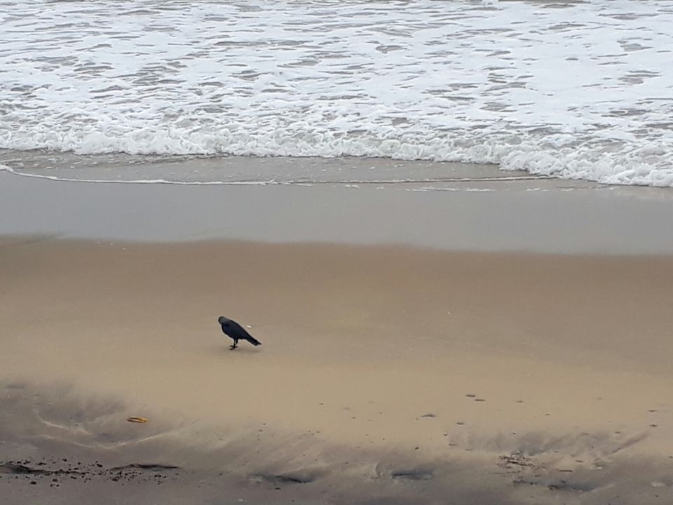 Photo of Mahabalipuram : mythology meets bohemia on the serene seashore by Arpita Bose Sinha
