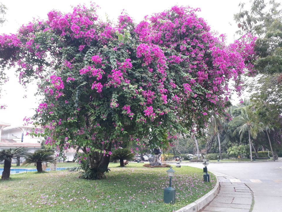 Photo of Mahabalipuram : mythology meets bohemia on the serene seashore by Arpita Bose Sinha