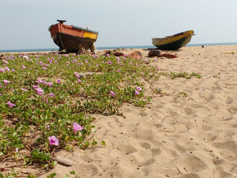 Photo of Where the sea flows in the heart of the city : Vishakhapatnam by Arpita Bose Sinha